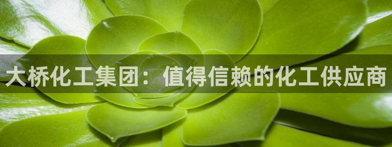 球盟会最新网：大桥化工集团：值得信赖的化工供应商