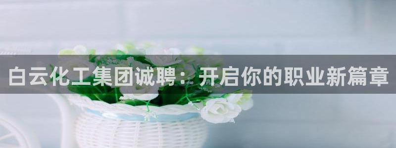球盟会黑