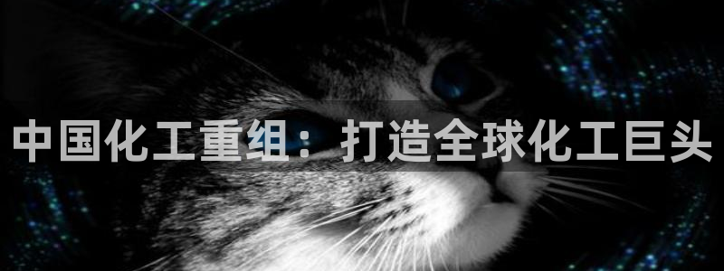 球盟会黑平台