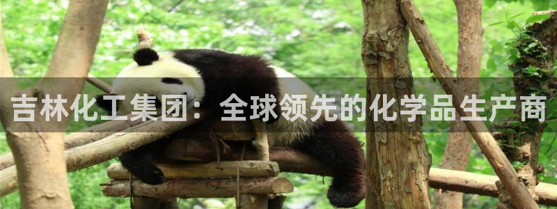 球盟会qmh网页版登录：吉林化工集团：全球领先的化学品生产商
