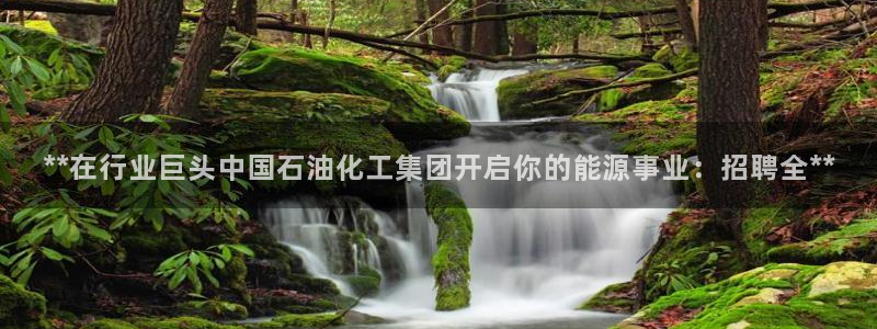 球盟会优惠领取网站是真的吗：**在行业巨头中国石油化工集团开