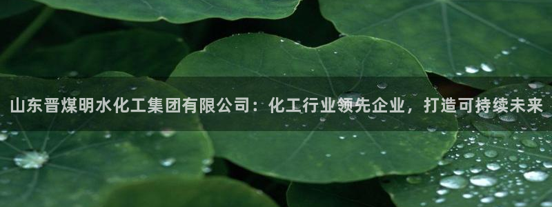 球盟会qm9：山东晋煤明水化工集团有限公司：化工行业领先企业