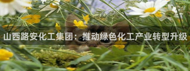 球盟会网址