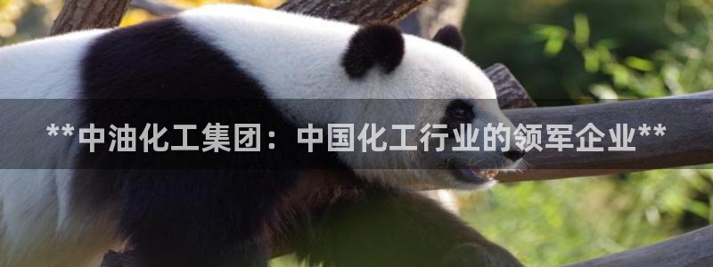 球盟会平台会黑单吗