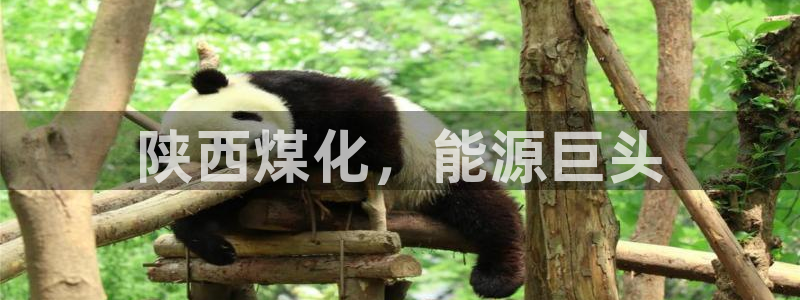 球盟会体育平台：陕西煤化，能源巨头