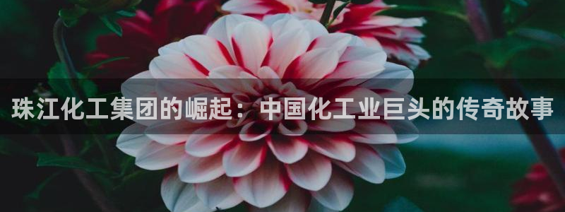 球盟会qmh官网