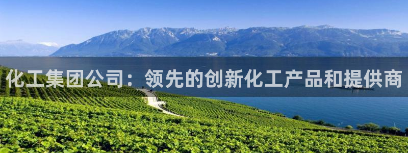球盟会官方下载：化工集团公司：领先的创新化工产品和提供商