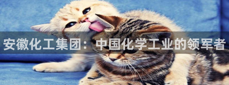 球盟会能退钱吗知乎：安徽化工集团：中国化学工业的领军者