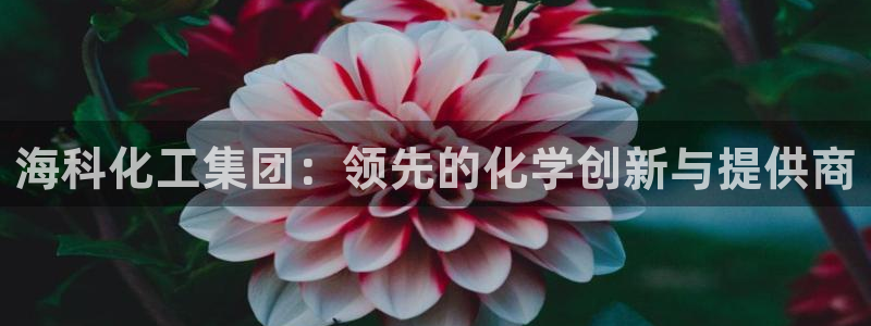 球盟会(中国)官方网站：海科化工集团：领先的化学创新与提供商