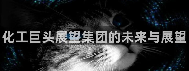 球盟会qmh网址