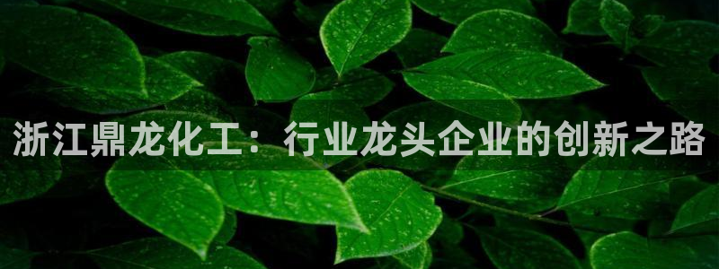 球盟会官方客服
