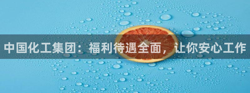球盟会平台怎么样