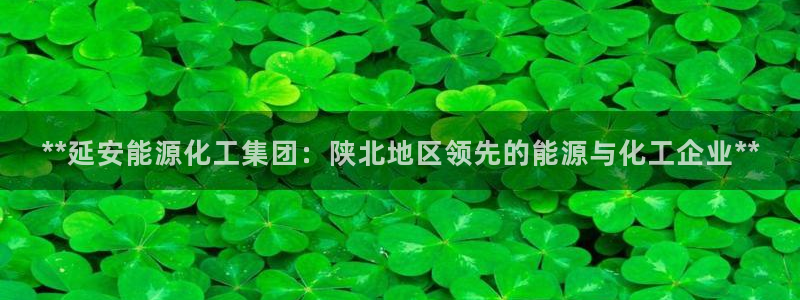 球盟会网页登录app下载地址：**延安能源化工集团：陕北地区