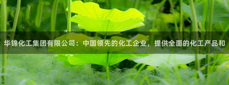 球盟会官网：华锦化工集团有限公司：中国领先的化工企业，提供全