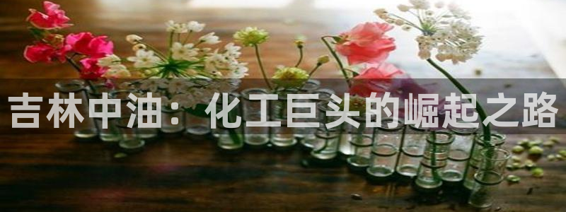 球盟会官网网页版