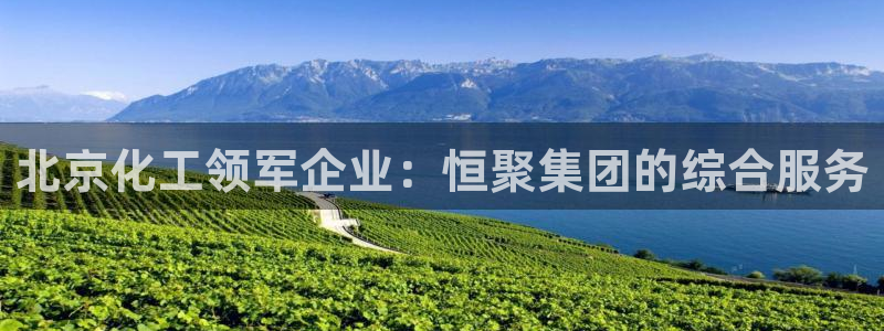 球盟会电子游戏平台：北京化工领军企业：恒聚集团的综合服务