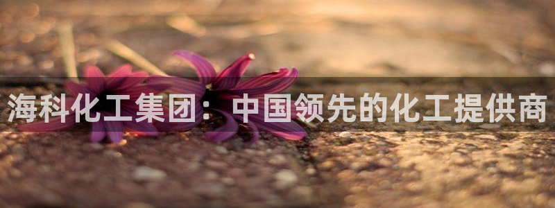 球盟会网址：海科化工集团：中国领先的化工提供商