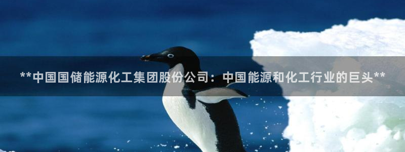 球盟会里面有打牌的嘛是真的吗：**中国国储能源化工集团股份公