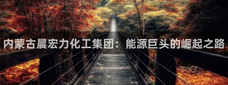 球盟会有没有黑单的球员