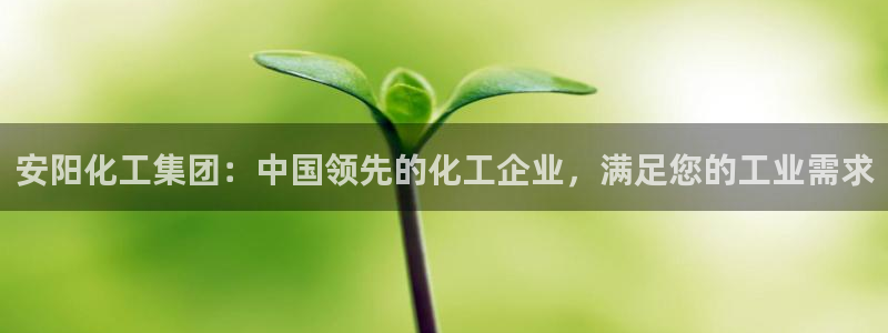 球盟会电子好下吗：安阳化工集团：中国领先的化工企业，满足您的