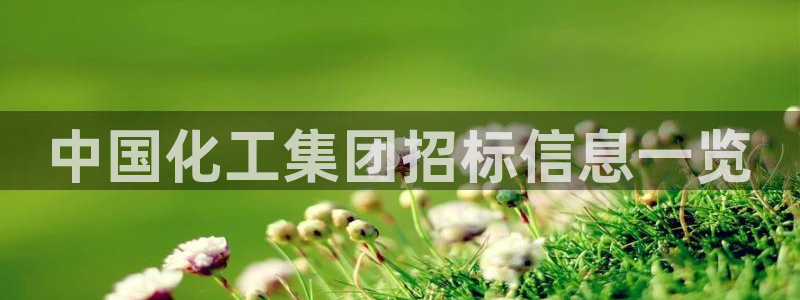 球盟会吧
