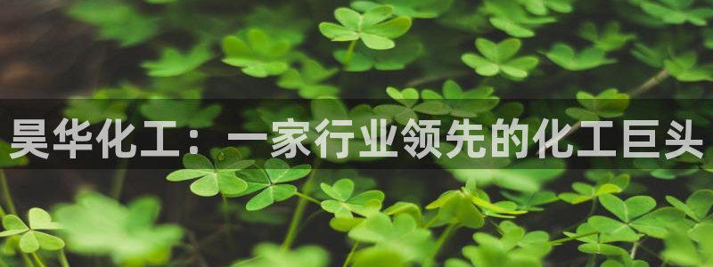 球盟会地址