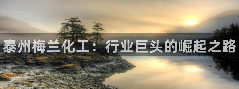 球盟会官方
