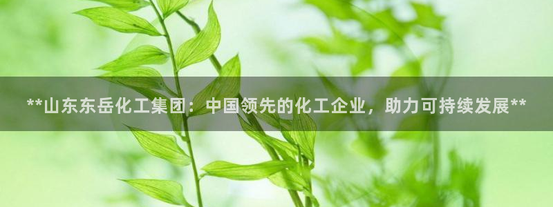 球盟会综合体育平台：**山东东岳化工集团：中国领先的化工企业