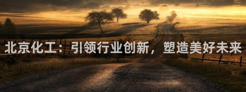 球盟会进不去