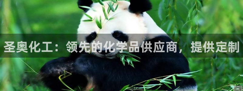 球盟会提款支付宝怎么样：圣奥化工：领先的化学品供应商，提供定