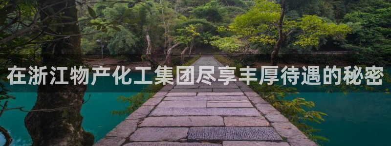 球盟会进不去球员吗：在浙江物产化工集团尽享丰厚待遇的秘密