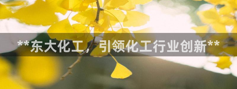 球盟会登录平台入口：**东大化工，引领化工行业创新**