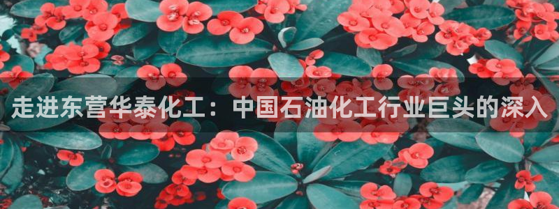 球盟会登陆入口