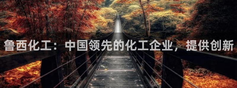 球盟会和中欧会的区别：鲁西化工：中国领先的化工企业，提供创新