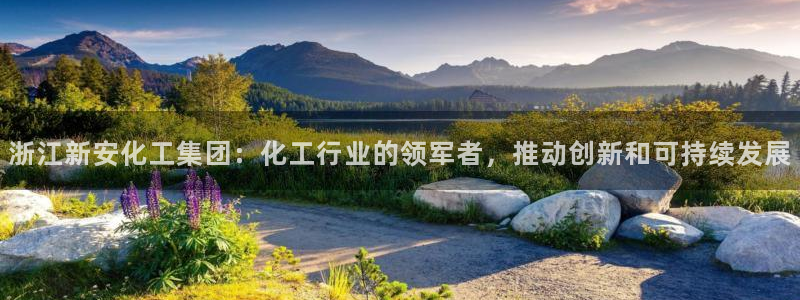 球盟会app入口：浙江新安化工集团：化工行业的领军者，推动创