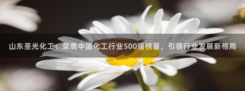 球盟会类似的网站