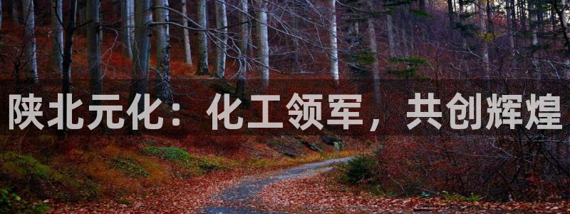球盟会登录平台入口：陕北元化：化工领军，共创辉煌