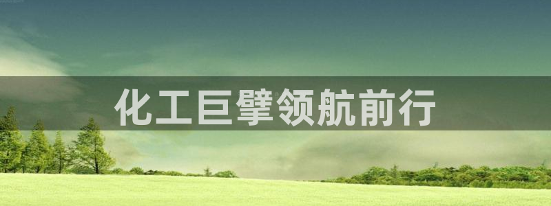 球盟会有没有黑单的：化工巨擘领航前行