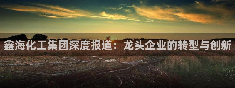 球盟会APP官网