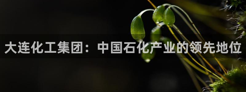 球盟会平台怎么样：大连化工集团：中国石化产业的领先地位