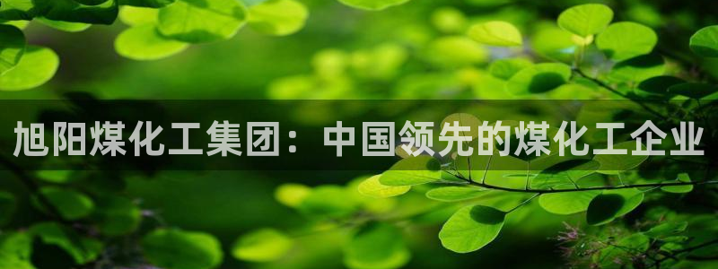 球盟会福利码2023最简单三个步骤：旭阳煤化工集团：中国领先