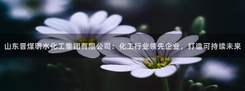 球盟会能退钱吗是真的吗：山东晋煤明水化工集团有限公司：化工行