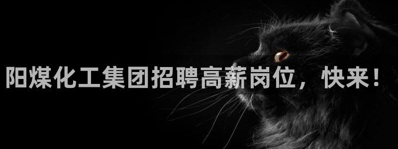 球盟会黑款吗是真的吗