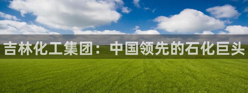 球盟会福利码2023最简单三个步骤：吉林化工集团：中国领先的