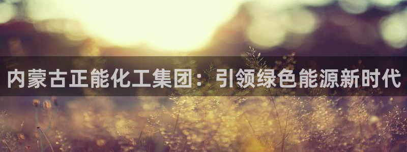 球盟会地址