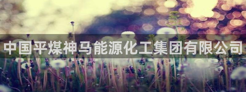 球盟会网页登录入口：中国平煤神马能源化工集团有限公司