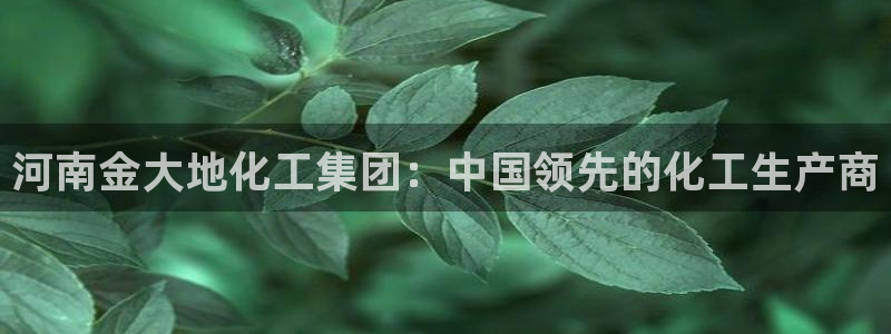 千亿球盟会乐玩：河南金大地化工集团：中国领先的化工生产商