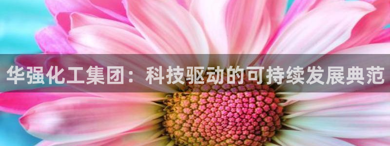 球盟会用的客服聊天是哪个软件：华强化工集团：科技驱动的可持续
