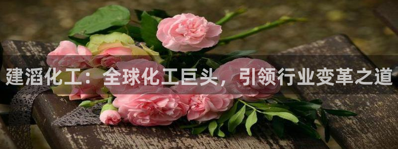球盟会官方版下载地址