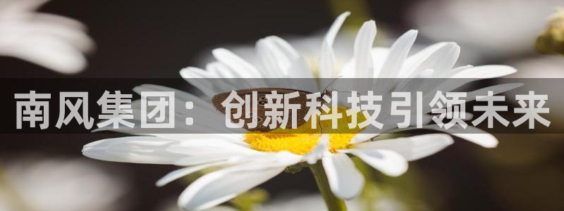 球盟会登录平台入口：南风集团：创新科技引领未来